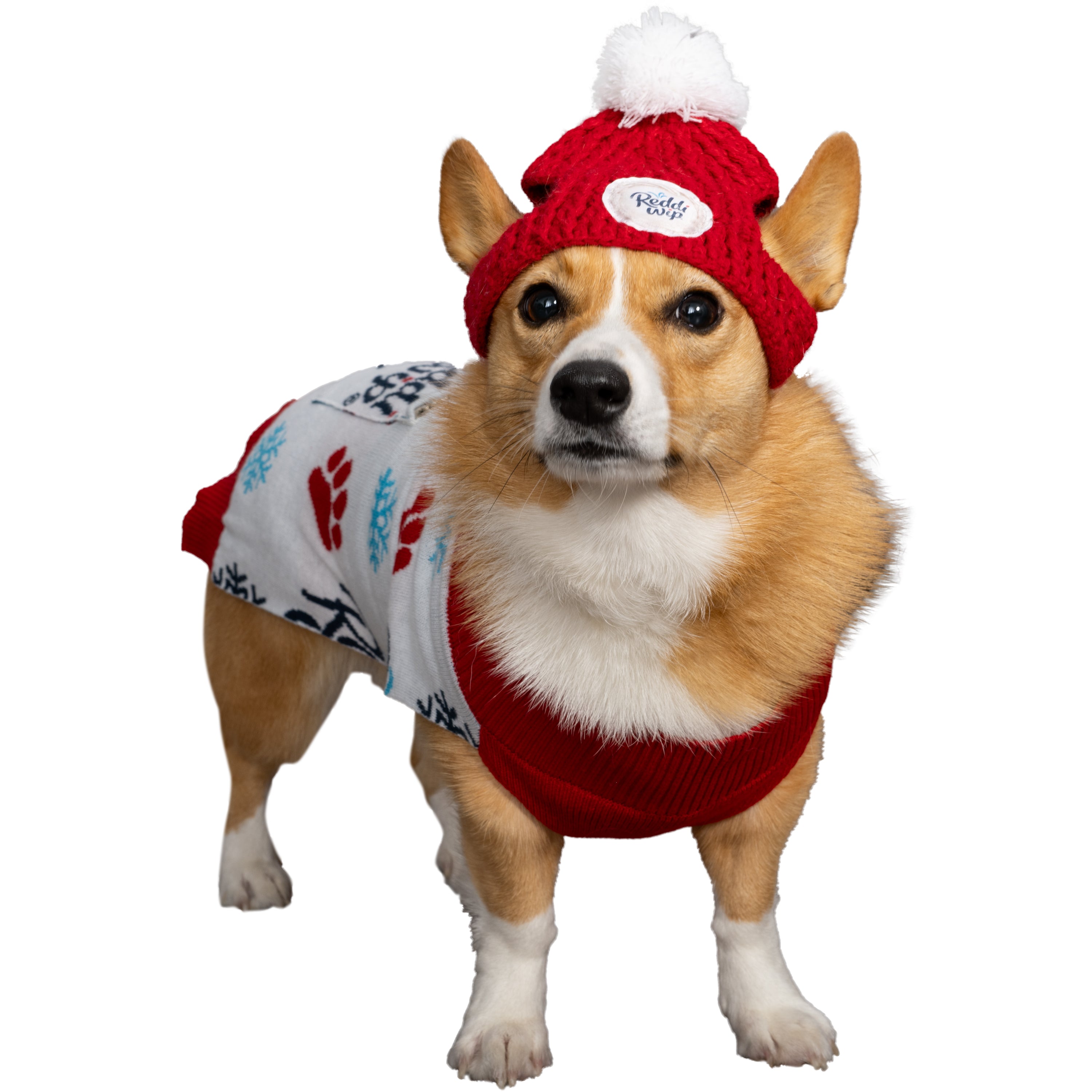 Reddi-wip™ Holiday Pet Sweater