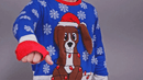 Youth Flappy Dog Animated Puppy Ears Ugly Christmas Sweater